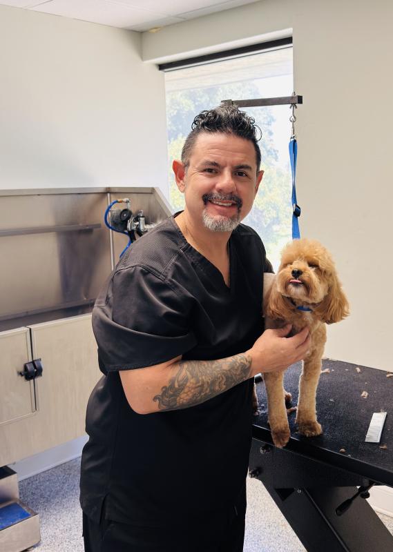 Cesar , Groomer